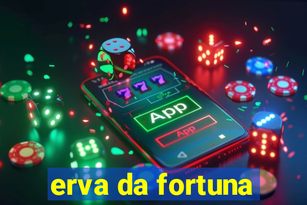 erva da fortuna