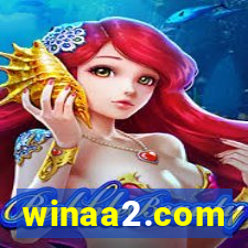 winaa2.com