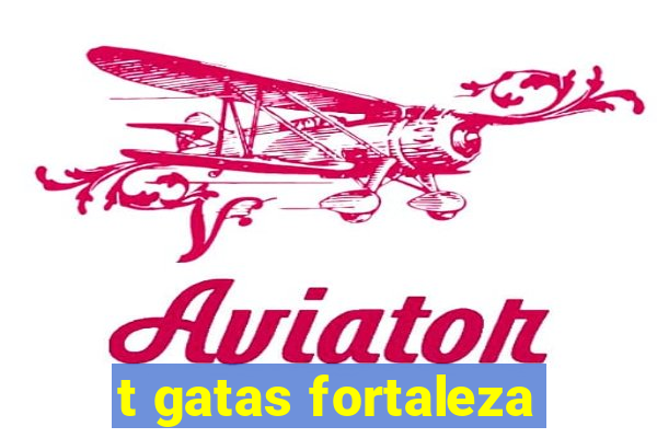 t gatas fortaleza