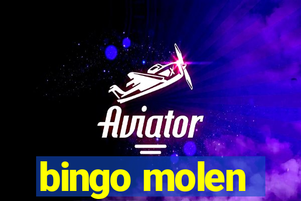 bingo molen