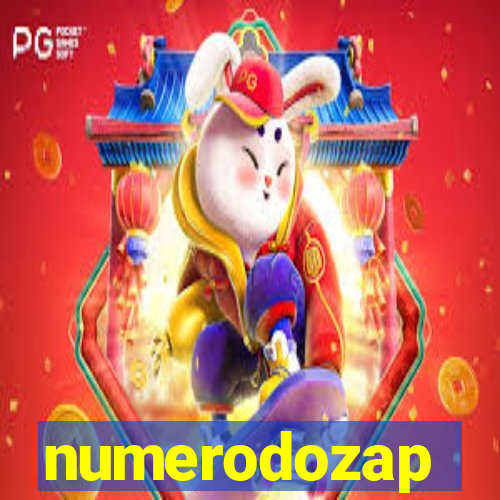 numerodozap