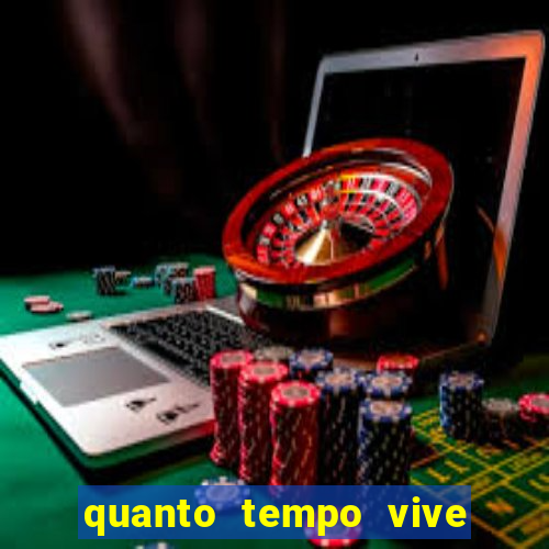 quanto tempo vive um passarinho bem-te-vi