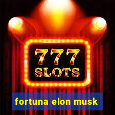 fortuna elon musk