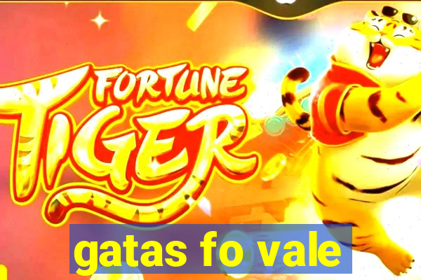 gatas fo vale