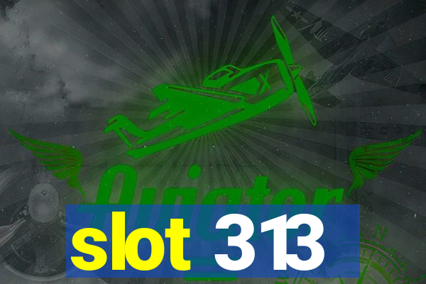 slot 313