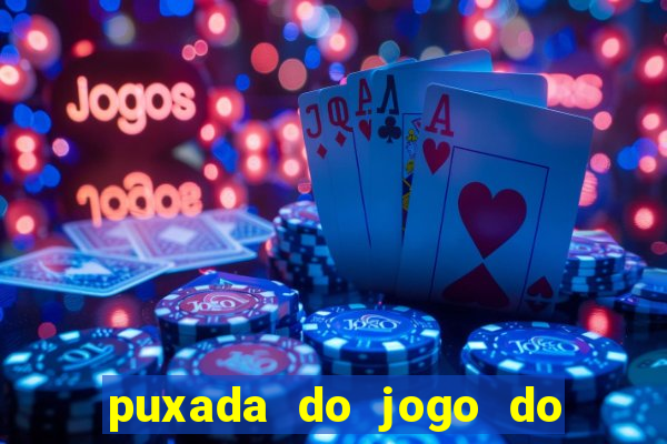 puxada do jogo do bicho da sueli